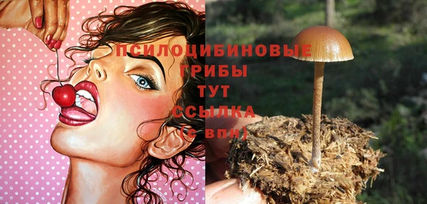 дурь Богданович