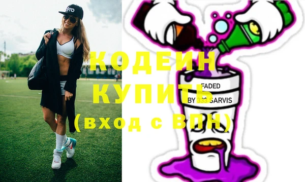 спиды Бородино