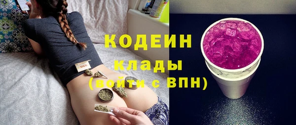 спиды Бородино