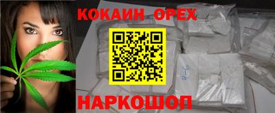 крисы Аргун
