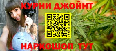 крисы Аргун