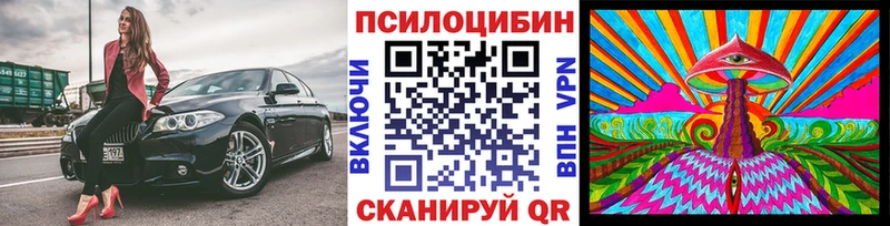 где найти   Верхняя Пышма  Галлюциногенные грибы мухоморы 