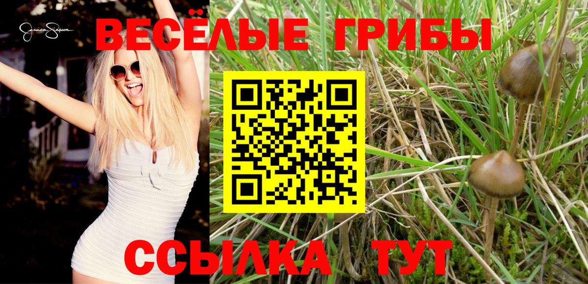 Галлюциногенные грибы прущие грибы Верхняя Пышма