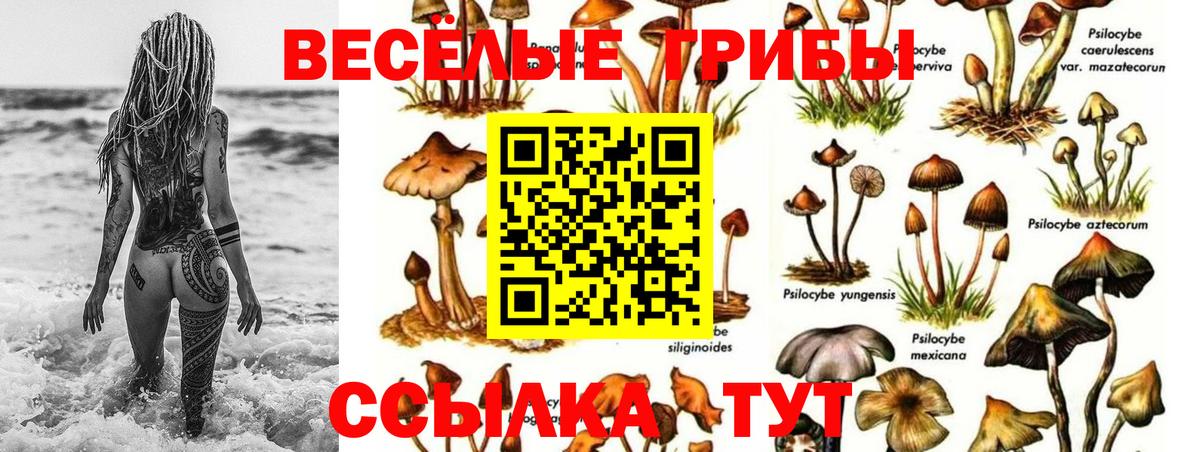 Мефедрон Верхняя Пышма