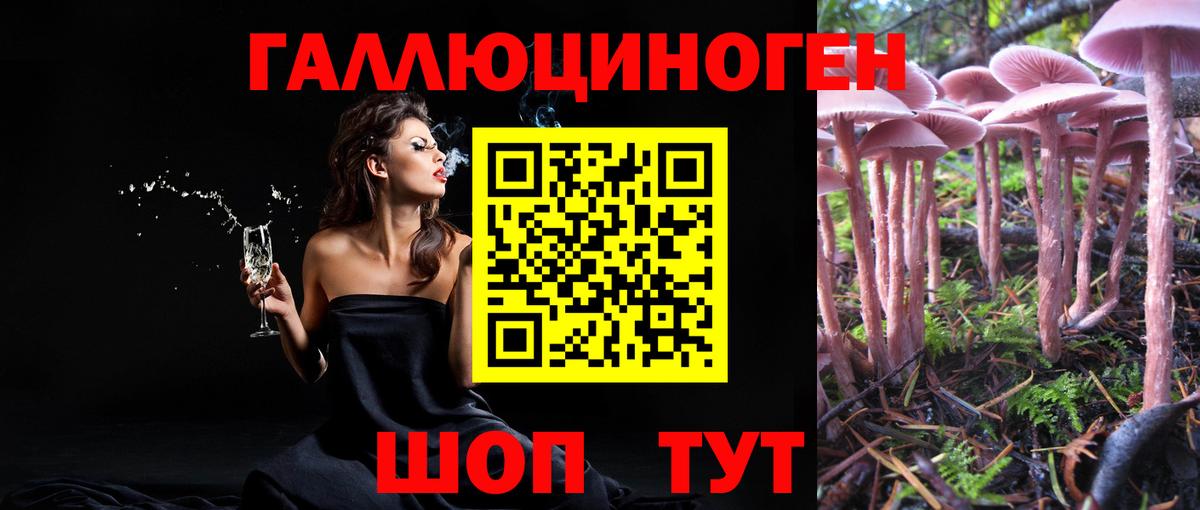 Псилоцибиновые грибы GOLDEN TEACHER  Верхняя Пышма 